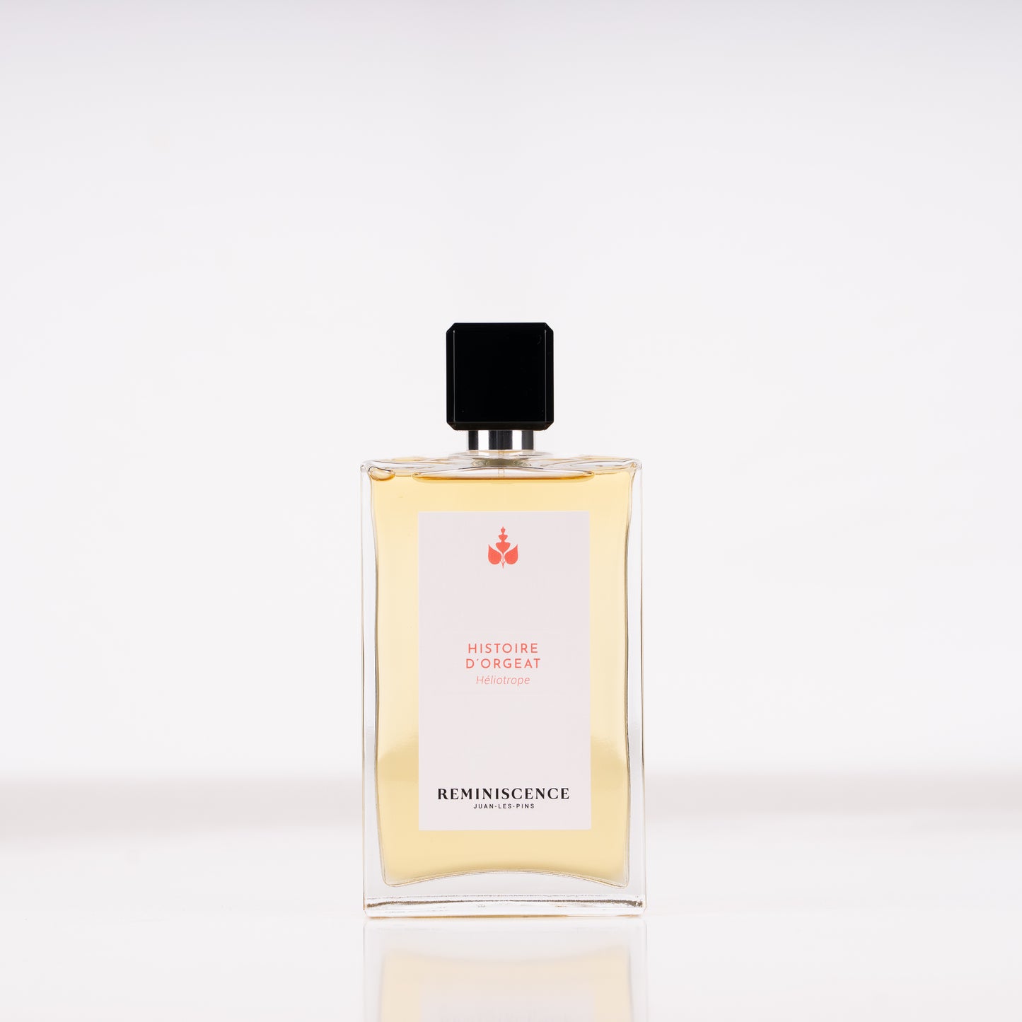 Reminiscence - Histoire D'Orgeat - Edp