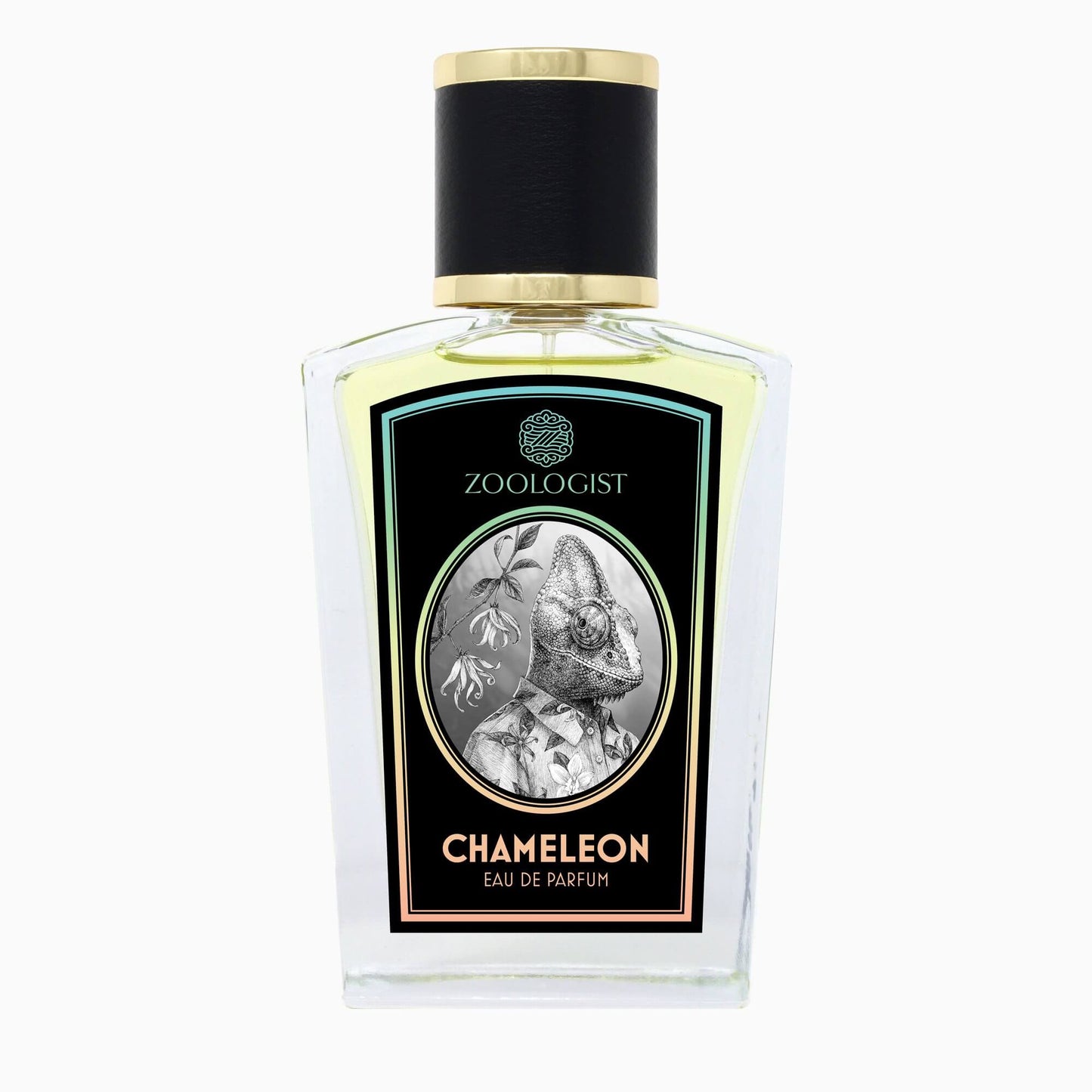 Zoologist - Chameleon.