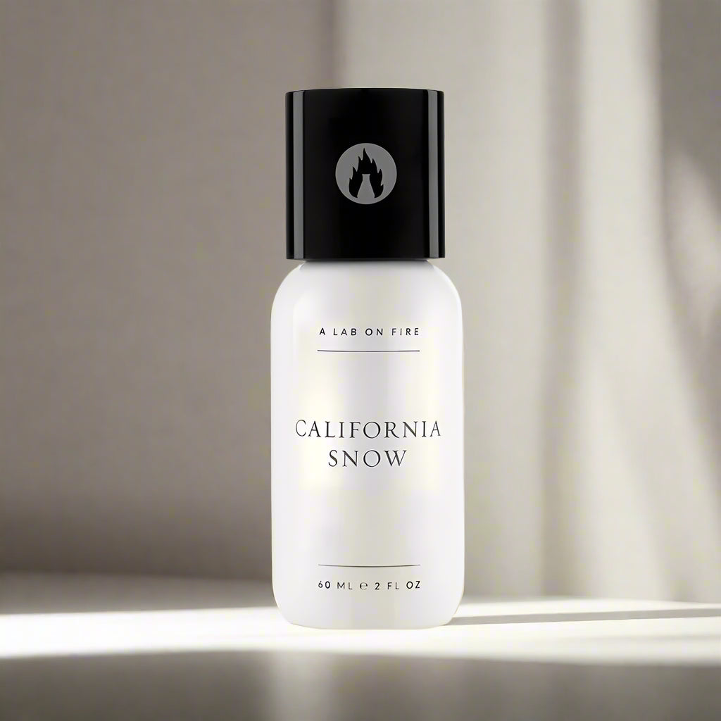 A Lab On Fire - California Snow