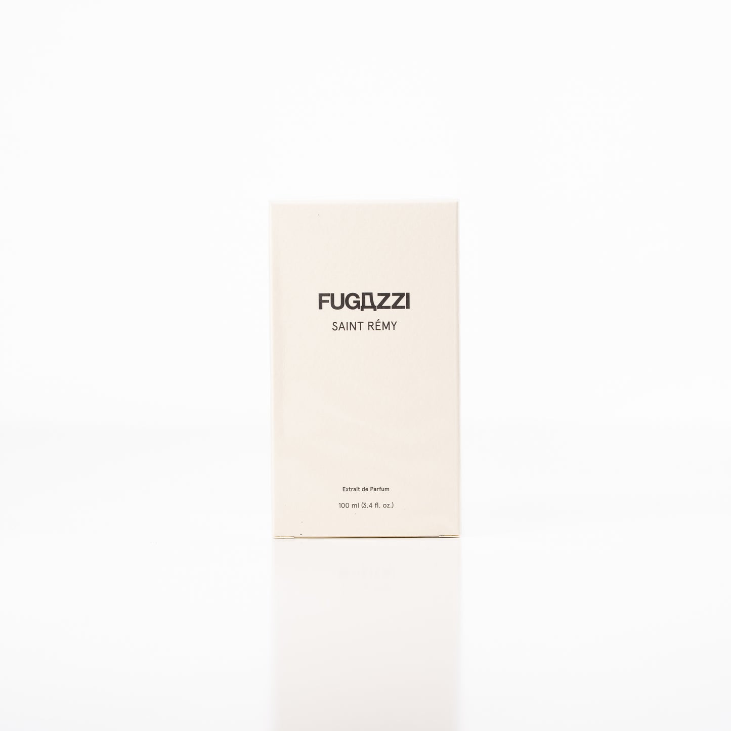 Fugazzi - Saint Remy - Extrait