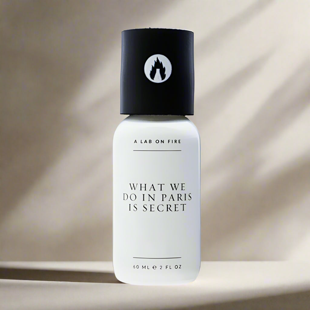 A Lab On Fire - What We Do In Paris Is Secret