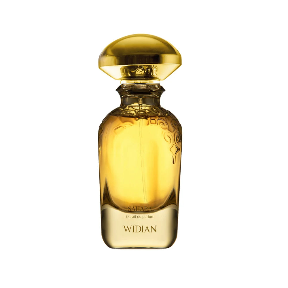 Widian - Sahara - Extrait