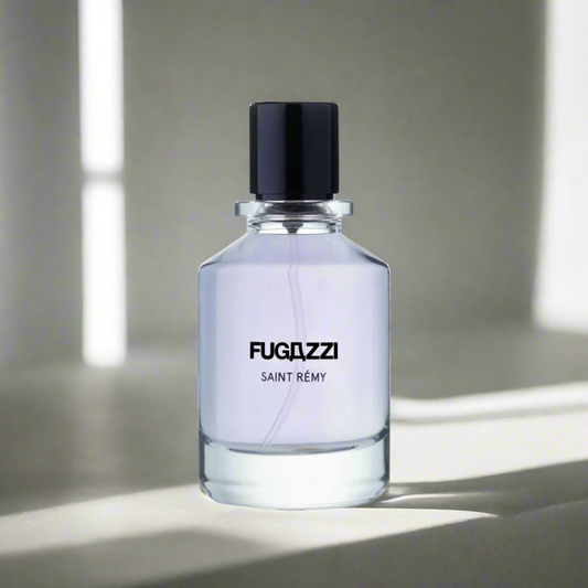 Fugazzi - Saint Remy - Extrait