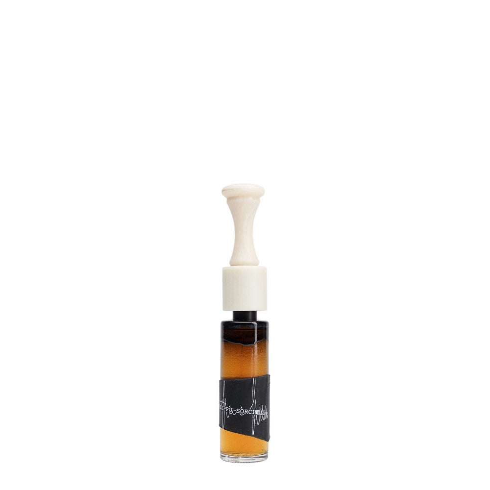 Filippo Sorcinelli - Trompette 8