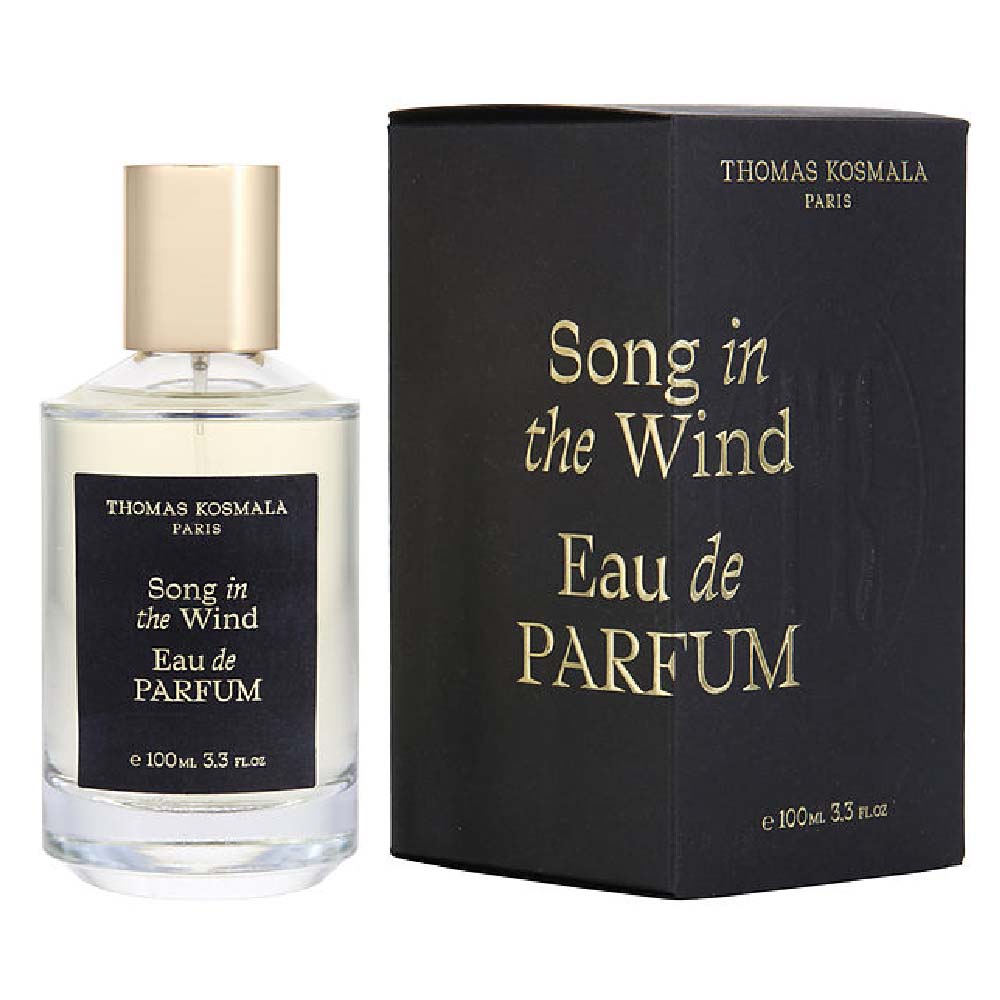 Thomas Kosmala - Song In The Wind Edp