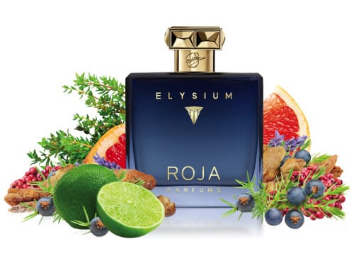 Roja - Elysium Pour Homme Parfum Cologne.