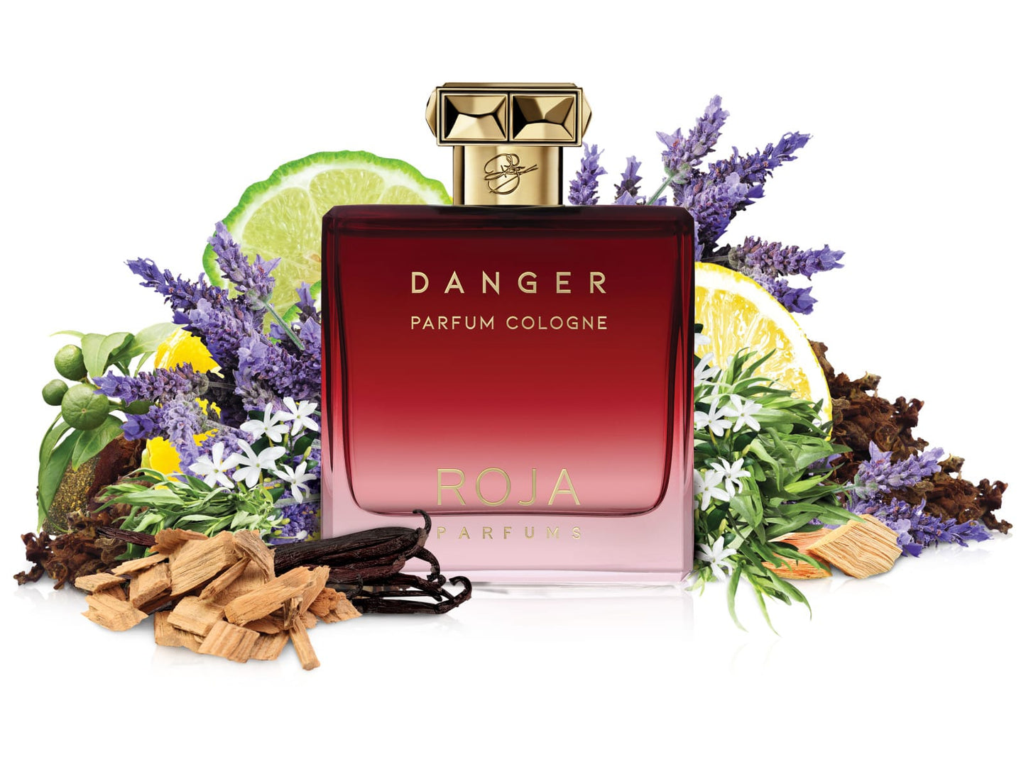 Roja - Danger Pour Homme Parfum Cologne.