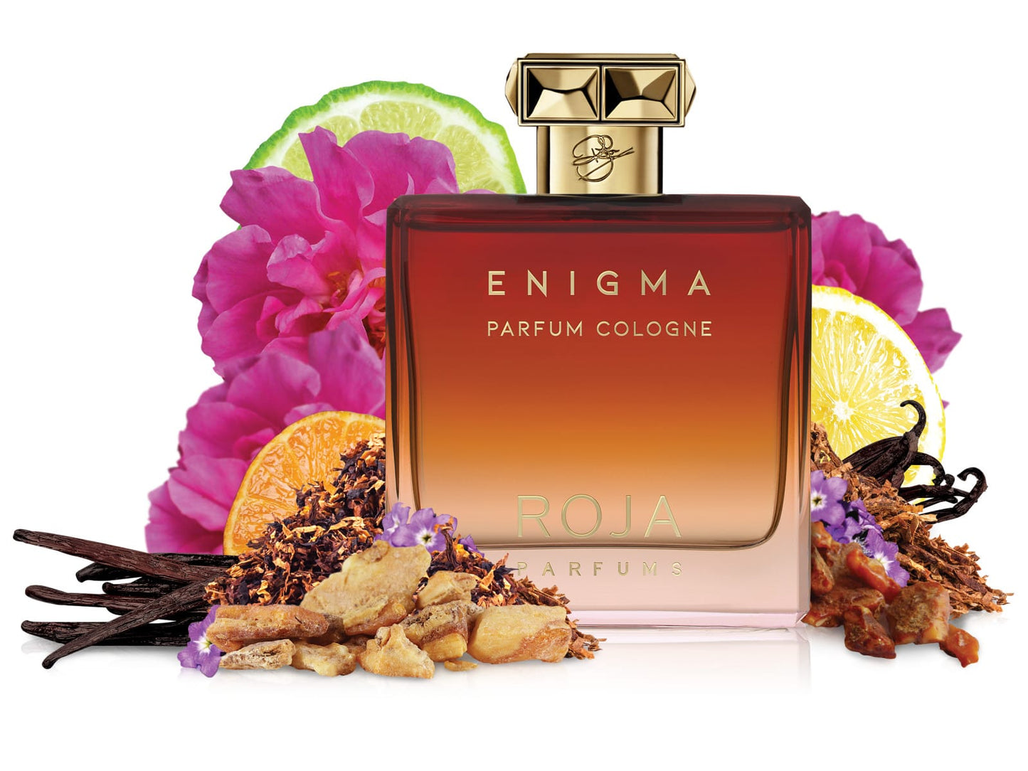 Roja - Enigma Pour Homme Parfum Cologne.